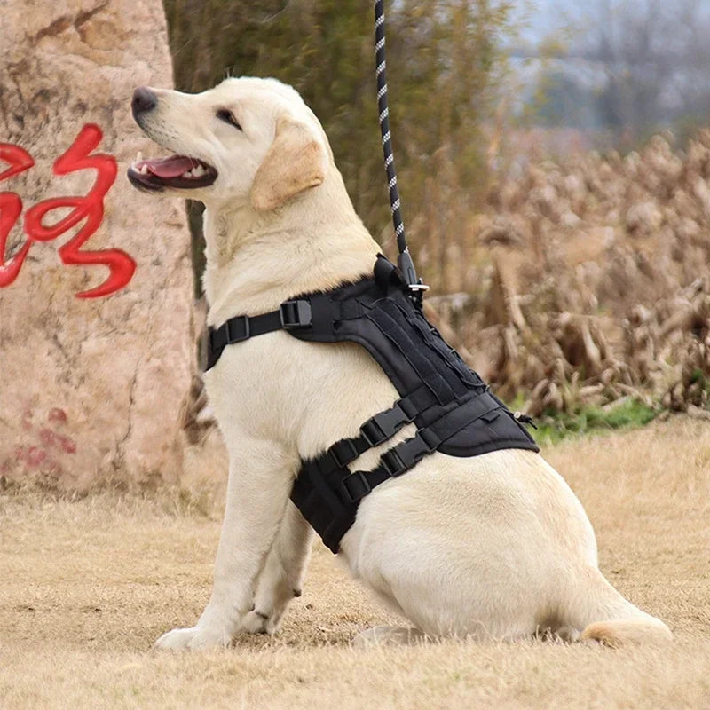 Tactisch Hondentuig voor Grote Honden – Stevig & Comfortabel! - Lumoraa
