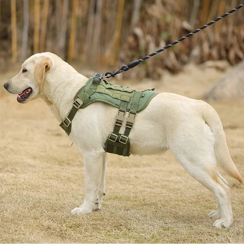 Tactisch Hondentuig voor Grote Honden – Stevig & Comfortabel! - Lumoraa