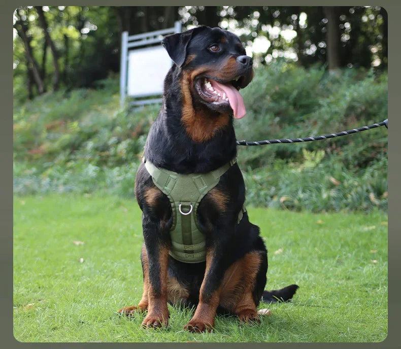 Tactisch Hondentuig voor Grote Honden – Stevig & Comfortabel! - Lumoraa
