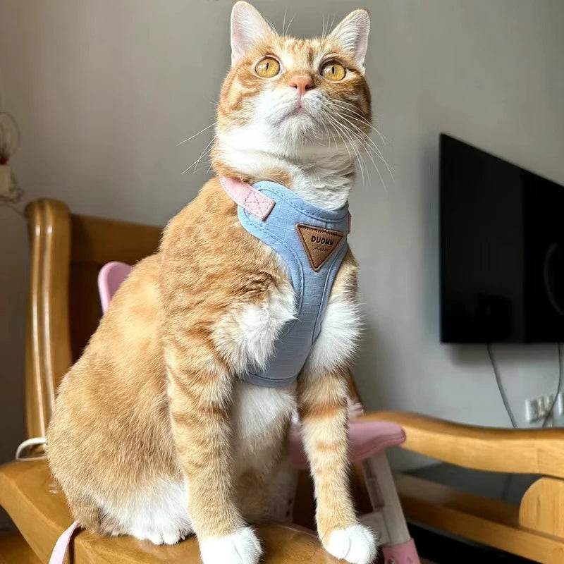Zacht en Comfortabel Kat Harnas en Lijn – Perfect voor Kleine Huisdieren - Lumoraa