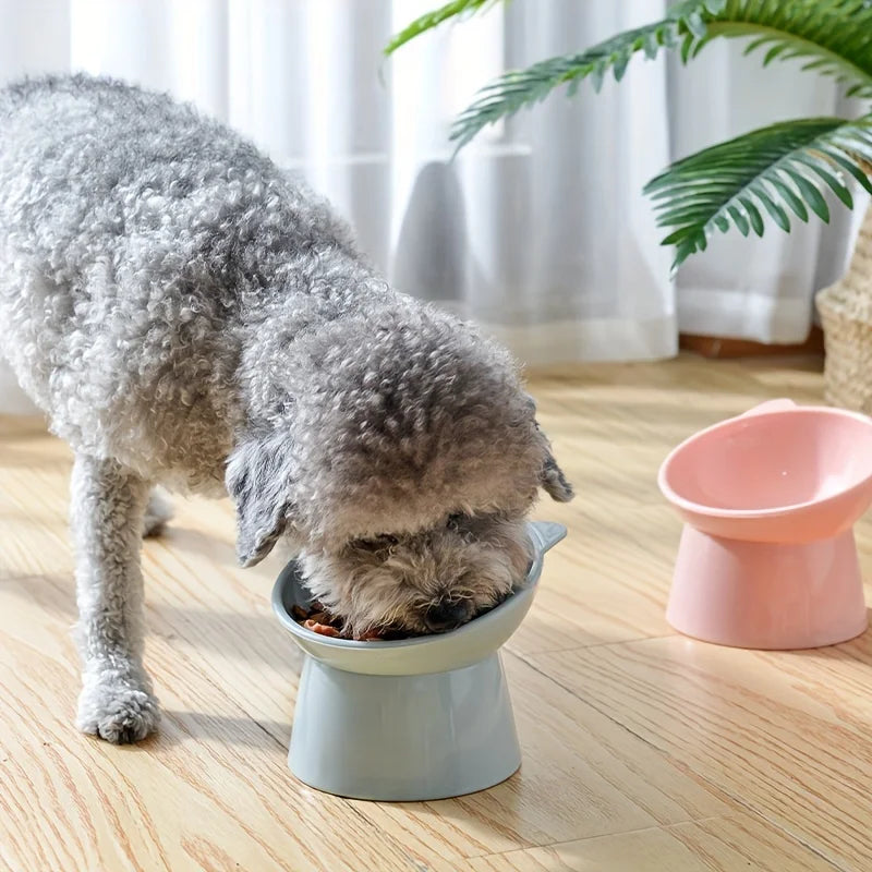 🍽️ Verhoogde Voerbak voor Katten & Kleine Honden – Anti-Kots & Rugvriendelijk - Lumoraa