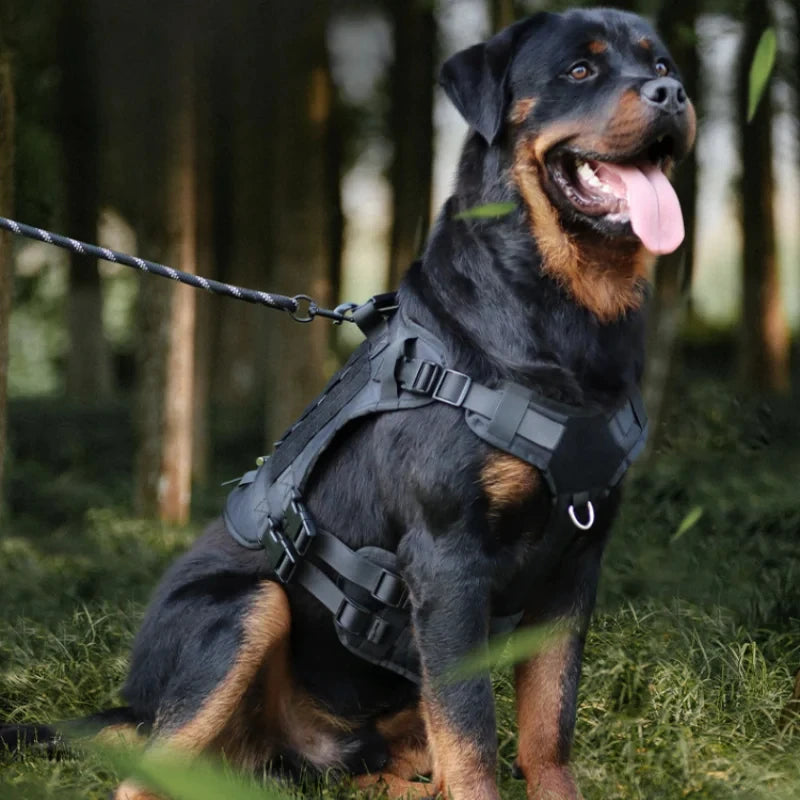 Tactisch Hondentuig voor Grote Honden – Stevig & Comfortabel! - Lumoraa