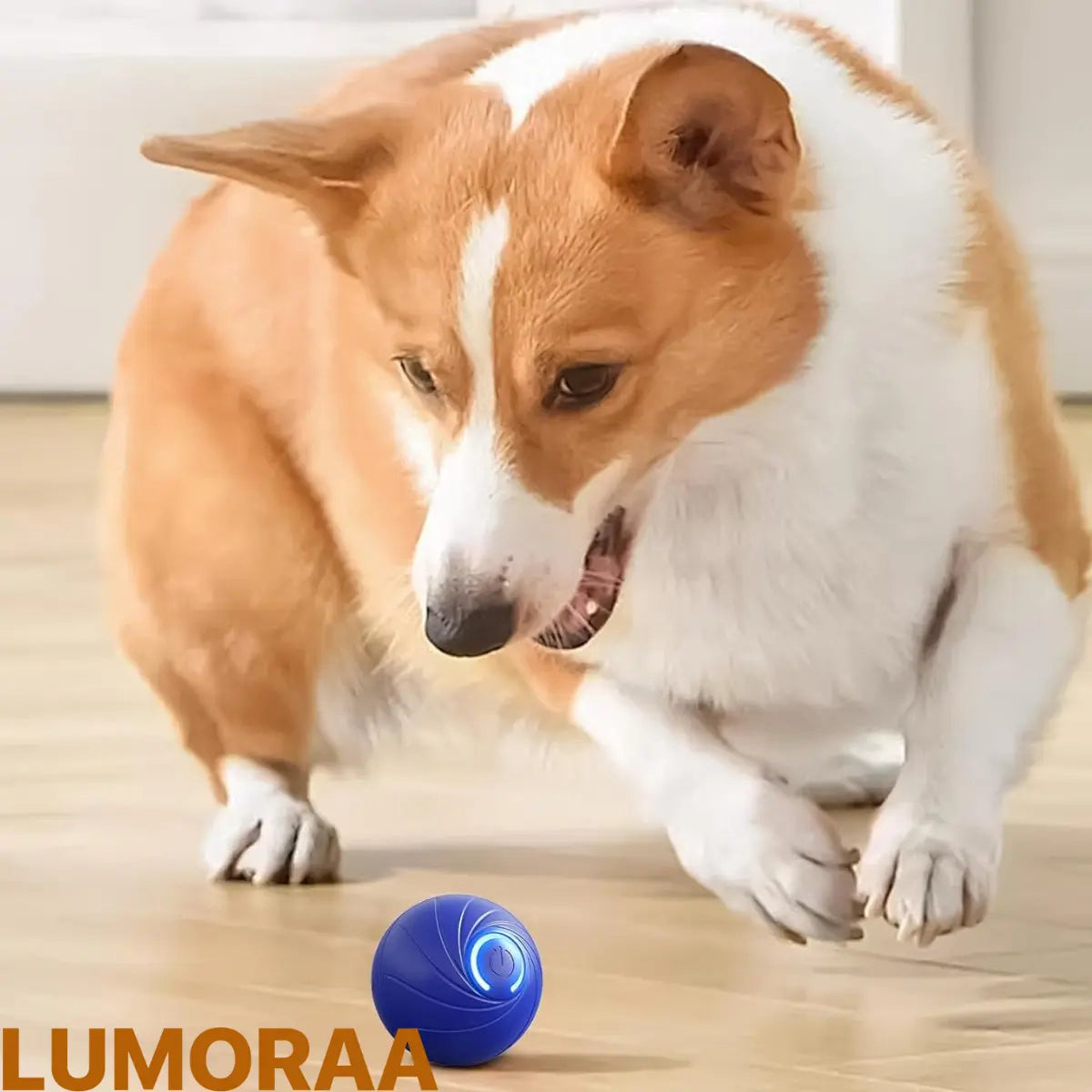 Slimme Speelbal voor Honden - Lumoraa