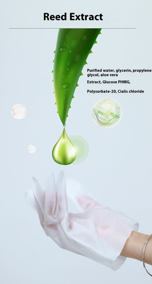 Stomerij Desinfecterend Papier Deodorant Huisdierbenodigdheden Wegwerphandschoenen voor Huisdieren - Lumoraa