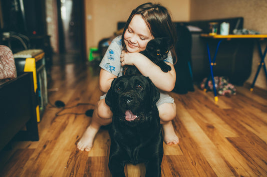 De ultieme gids voor de verzorging van jouw hond of kat