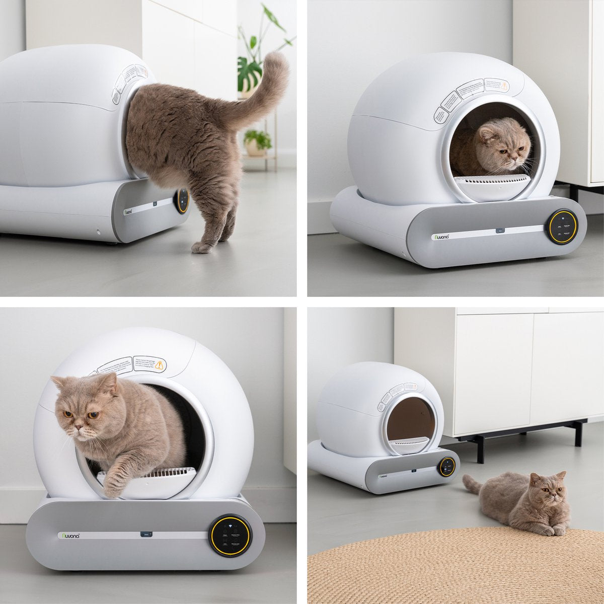 LumoClean – De Slimme Zelfreinigende Kattenbak - Lumoraa