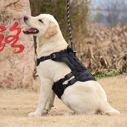 Tactisch Hondentuig voor Grote Honden – Stevig & Comfortabel! - Lumoraa