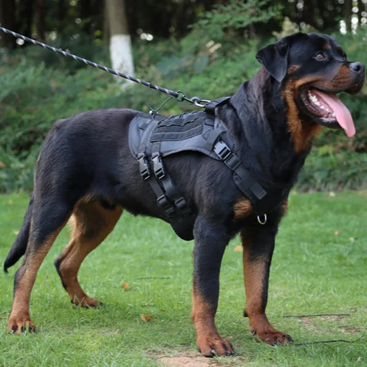 Tactisch Hondentuig voor Grote Honden – Stevig & Comfortabel! - Lumoraa