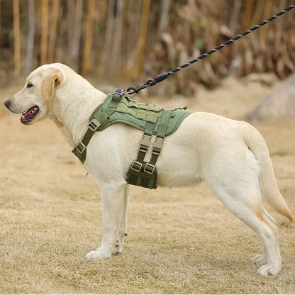 Tactisch Hondentuig voor Grote Honden – Stevig & Comfortabel! - Lumoraa