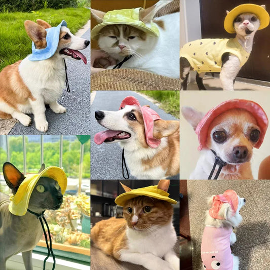 Zomerse Pet Cap voor Katten & Kleine Honden – Met Oorgaten - Lumoraa