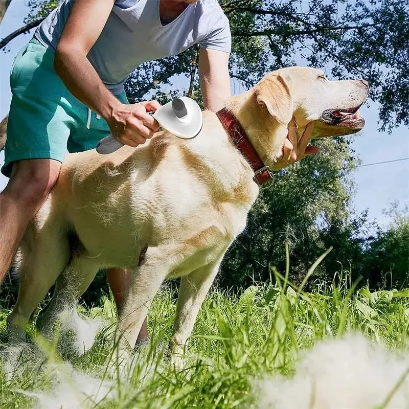 Perfecte Verzorgingsborstel voor Honden & Katten 🐶🐱 - Lumoraa