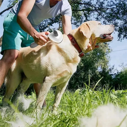 Perfecte Verzorgingsborstel voor Honden & Katten 🐶🐱 - Lumoraa