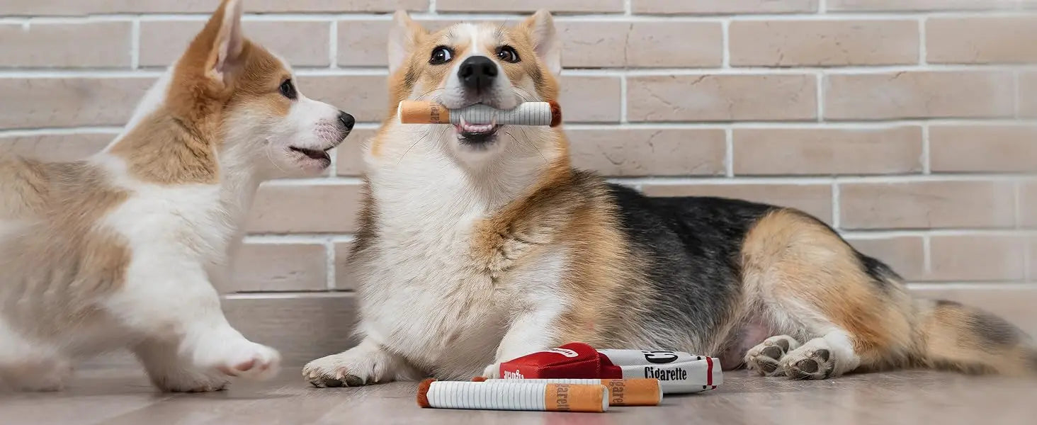 Grappig Hondenspeeltje – Sigarettendoos Pluche! - Lumoraa