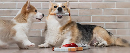 Grappig Hondenspeeltje – Sigarettendoos Pluche! - Lumoraa