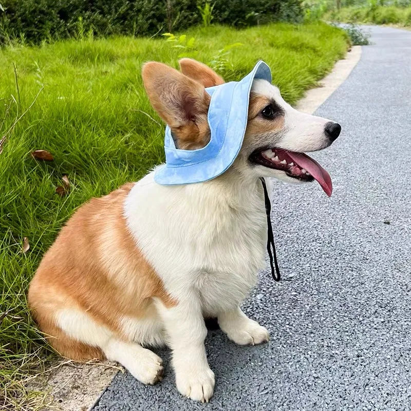 Zomerse Pet Cap voor Katten & Kleine Honden – Met Oorgaten - Lumoraa