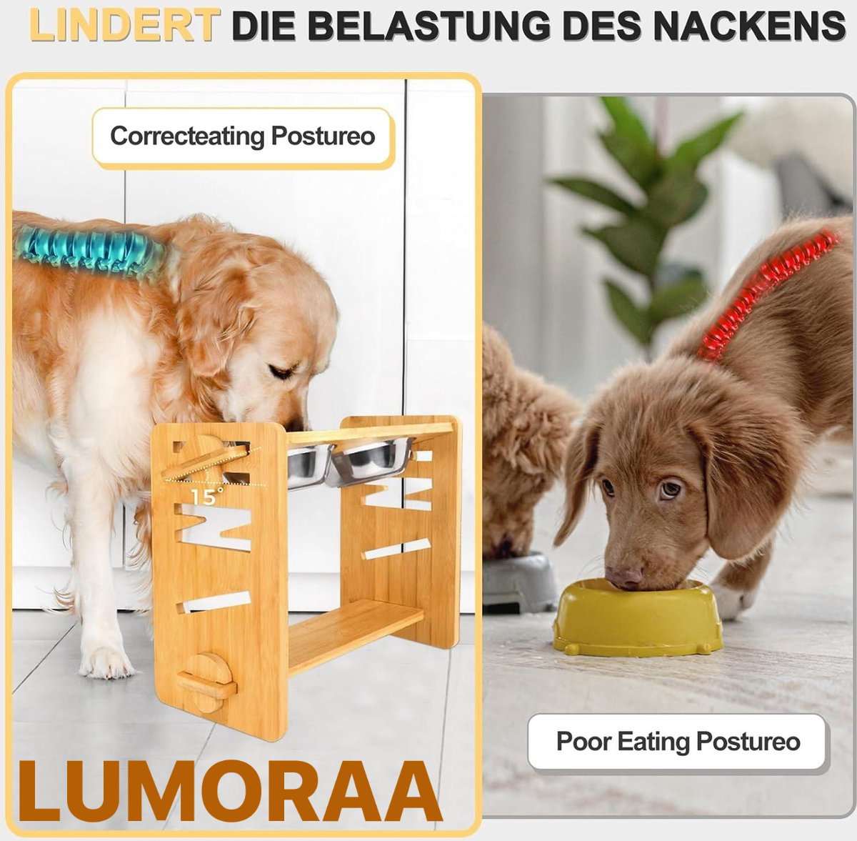 ComfortBowl – Verhoogde & Verstelbare Voerbak voor je Huisdier! 🐾🍽️ - Lumoraa